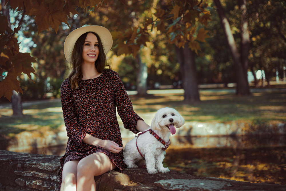 Sornix QR tags - connect when it matters